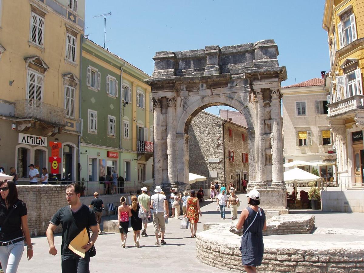 Mirijana Vinogradska Pula
